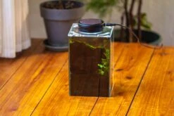 Watertight Glass Terrarium With LED Grow Light, Acrylic Lid For Moss Wall, Vertical Planting-12x12x18cm / 4.7x4.7x7.1'' -Terrarium Plant Hub IMG 5465 d508ffbb 2d97 45e6 8758 89437f8078d8