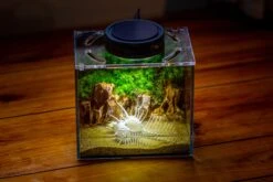 Watertight Glass Terrarium With LED Grow Light, Acrylic Lid For Moss Wall, Vertical Planting -15x11x13cm / 5.9x4.3x5.1'' -Terrarium Plant Hub IMG 5505 168ca1e4 23e0 4cea 96d0 ed6f38f63c5d