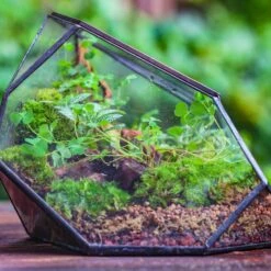 Irregular Geometric Rock Shape Glass And Tin Terrarium, For Moss -Terrarium Plant Hub IMG 5557