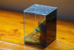 Watertight Glass Terrarium With LED Grow Light, Acrylic Lid For Moss Wall, Vertical Planting -15x15x20cm / 5.9x5.9x7.8 -Terrarium Plant Hub IMG 5623 10b6e7b6 9015 4148 94ff e2e6158d17f5