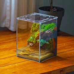 Watertight Glass Terrarium With LED Grow Light, Acrylic Lid For Moss Wall, Vertical Planting -15x15x20cm / 5.9x5.9x7.8 -Terrarium Plant Hub IMG 5625 2 e9f9f1ad 8038 4072 af53 74744c59487b