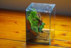 Watertight Glass Terrarium With LED Grow Light, Acrylic Lid For Moss Wall, Vertical Planting -15x15x20cm / 5.9x5.9x7.8 -Terrarium Plant Hub IMG 5627 342afd39 5319 496f 8843 88b5bd60bac7