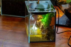 Watertight Glass Terrarium With LED Grow Light, Acrylic Lid For Moss Wall, Vertical Planting -15x11x13cm / 5.9x4.3x5.1'' -Terrarium Plant Hub IMG 5696