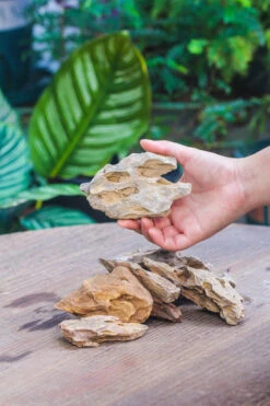 5-12cm Natural Ohko Dragon Stone Rock For Terrarium, Aquarium Bonsai Landscape, 500g -Terrarium Plant Hub IMG 5804