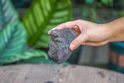 5-8cm Black Horticultural Lava Rock Volcanic Rock For Terrarium, Bonsai Landscape, 500g -Terrarium Plant Hub IMG 5883