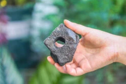 5-8cm Black Horticultural Lava Rock Volcanic Rock For Terrarium, Bonsai Landscape, 500g -Terrarium Plant Hub IMG 5887