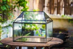 NCYP Handmade Large House Shape Geometric Glass Terrariumn 14x12x12" For Tarantulas -Terrarium Plant Hub IMG 6077