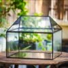 NCYP Handmade Large House Shape Geometric Glass Terrariumn 14x12x12" For Tarantulas -Terrarium Plant Hub IMG 6077 da1ee0d3 1157 4e47 829f 468a5753e677