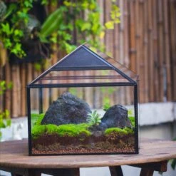 NCYP Handmade Large House Shape Geometric Glass Terrariumn 14x12x12" For Tarantulas -Terrarium Plant Hub IMG 6110