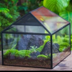 NCYP Handmade Large House Shape Geometric Glass Terrariumn 14x12x12" For Tarantulas -Terrarium Plant Hub IMG 6116