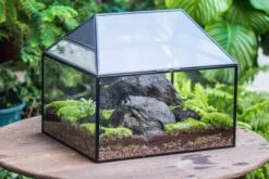 NCYP Handmade Large House Shape Geometric Glass Terrariumn 14x12x12" For Tarantulas -Terrarium Plant Hub IMG 6117