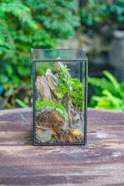 NCYP Watertight Close Geometric Glass Tin Terrarium, For Small Waterpond, Moss Landscape, Live Miniature, Water Pond, Miniature -Terrarium Plant Hub IMG 6176