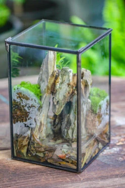 5-12cm Natural Ohko Dragon Stone Rock For Terrarium, Aquarium Bonsai Landscape, 500g -Terrarium Plant Hub IMG 6188