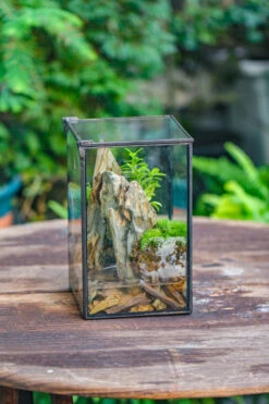 5-12cm Natural Ohko Dragon Stone Rock For Terrarium, Aquarium Bonsai Landscape, 500g -Terrarium Plant Hub IMG 6189