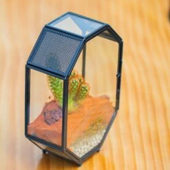 Mini 5x7 Inches Octagon Shape Glass Geometric Terrarium Enclosure With Side Vent For Small Insect, Jumping Spider -Terrarium Plant Hub IMG 6193 3