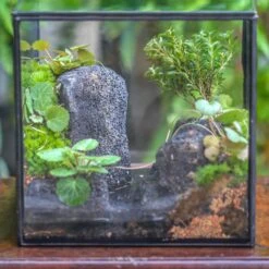 5-8cm Black Horticultural Lava Rock Volcanic Rock For Terrarium, Bonsai Landscape, 500g -Terrarium Plant Hub IMG 6236