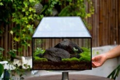 NCYP Handmade Large House Shape Geometric Glass Terrariumn 14x12x12" For Tarantulas -Terrarium Plant Hub IMG 6265