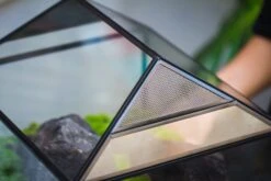 NCYP Handmade Large House Shape Geometric Glass Terrariumn 14x12x12" For Tarantulas -Terrarium Plant Hub IMG 6278