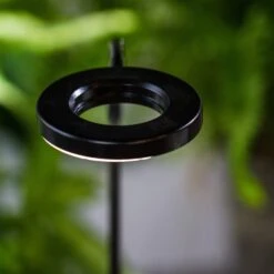 NCYP Customizable Tabletop Natural Wood Round Board LED Grow Display Light Indoor 10W For Terrarium Succulent Fern Bonsai Moss -30cm -Terrarium Plant Hub IMG 6481