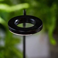 NCYP Customizable Tabletop Natural Wood Round Board LED Grow Display Light Indoor 10W For Terrarium Succulent Fern Bonsai Moss -35cm -Terrarium Plant Hub IMG 6481 305b9ee3 ac00 4a4a a0f4 75b25344f4f2