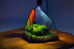 Rainbow Stained Glass Irregular Geometric Ice Peak Shape Terrarium, Close -Terrarium Plant Hub IMG 6582