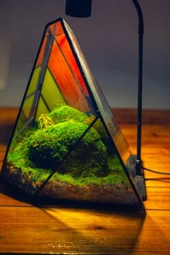 Rainbow Stained Glass Irregular Geometric Ice Peak Shape Terrarium, Close -Terrarium Plant Hub IMG 6583