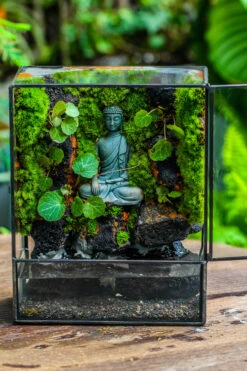 Close Geometric Glass Tin Terrarium , Watertight, 8x10" Container For Moss Wall, Fern, Landscape Waterpond, No Plants, Customizable -Terrarium Plant Hub IMG 6587