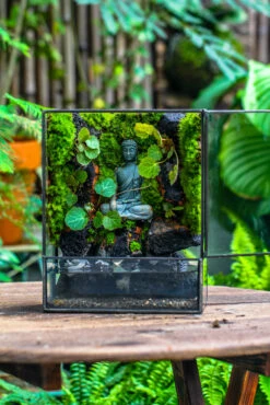 Close Geometric Glass Tin Terrarium , Watertight, 8x10" Container For Moss Wall, Fern, Landscape Waterpond, No Plants, Customizable -Terrarium Plant Hub IMG 6588