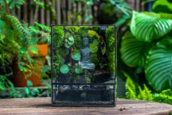 Close Geometric Glass Tin Terrarium , Watertight, 8x10" Container For Moss Wall, Fern, Landscape Waterpond, No Plants, Customizable -Terrarium Plant Hub IMG 6589