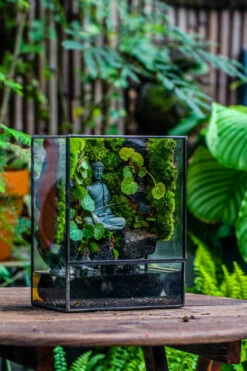 Close Geometric Glass Tin Terrarium , Watertight, 8x10" Container For Moss Wall, Fern, Landscape Waterpond, No Plants, Customizable -Terrarium Plant Hub IMG 6593