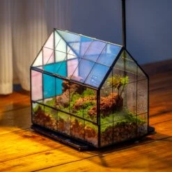 Blue Pink White Stained Glass House Shape Geometric Terrarium, Vintage Style, Close -Terrarium Plant Hub IMG 6634 2
