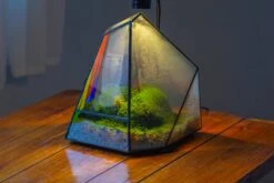 Rainbow Stained Glass Irregular Geometric Ice Peak Shape Terrarium, Close -Terrarium Plant Hub IMG 6677