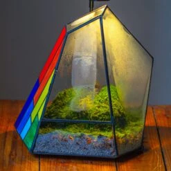 Rainbow Stained Glass Irregular Geometric Ice Peak Shape Terrarium, Close -Terrarium Plant Hub IMG 6678 2