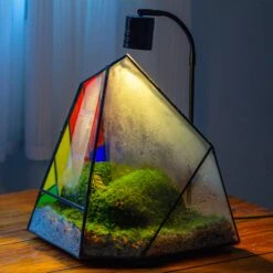 Rainbow Stained Glass Irregular Geometric Ice Peak Shape Terrarium, Close -Terrarium Plant Hub IMG 6679 2