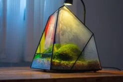 Rainbow Stained Glass Irregular Geometric Ice Peak Shape Terrarium, Close -Terrarium Plant Hub IMG 6680