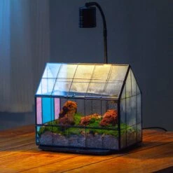 Blue Pink White Stained Glass House Shape Geometric Terrarium, Vintage Style, Close -Terrarium Plant Hub IMG 6689 2