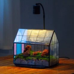 Blue Pink White Stained Glass House Shape Geometric Terrarium, Vintage Style, Close -Terrarium Plant Hub IMG 6690 2
