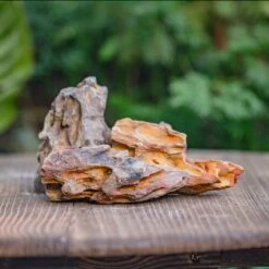 2-6" / 5-15cm Cutted Flat Bottom Natural Ohko Dragon Stone Rock For Terrarium, Aquarium Bonsai Landscape, 2kg/4.4lb, With DIY Tools -Terrarium Plant Hub IMG 6735