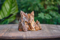 2-6" / 5-15cm Cutted Flat Bottom Natural Ohko Dragon Stone Rock For Terrarium, Aquarium Bonsai Landscape, 2kg/4.4lb, With DIY Tools -Terrarium Plant Hub IMG 6736