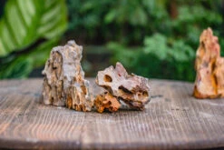 2-6" / 5-15cm Cutted Flat Bottom Natural Ohko Dragon Stone Rock For Terrarium, Aquarium Bonsai Landscape, 2kg/4.4lb, With DIY Tools -Terrarium Plant Hub IMG 6737