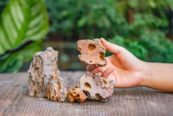 2-6" / 5-15cm Cutted Flat Bottom Natural Ohko Dragon Stone Rock For Terrarium, Aquarium Bonsai Landscape, 2kg/4.4lb, With DIY Tools -Terrarium Plant Hub IMG 6738