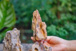 2-6" / 5-15cm Cutted Flat Bottom Natural Ohko Dragon Stone Rock For Terrarium, Aquarium Bonsai Landscape, 2kg/4.4lb, With DIY Tools -Terrarium Plant Hub IMG 6740