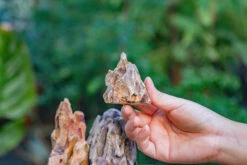 2-6" / 5-15cm Cutted Flat Bottom Natural Ohko Dragon Stone Rock For Terrarium, Aquarium Bonsai Landscape, 2kg/4.4lb, With DIY Tools -Terrarium Plant Hub IMG 6746