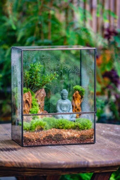Close Geometric Glass Tin Terrarium Building DIY Set , 8x10" And Buddha, Rock, Micro Landscape Moss Terrarium Building DIY Set No Plants, Customizable -Terrarium Plant Hub IMG 6796 3