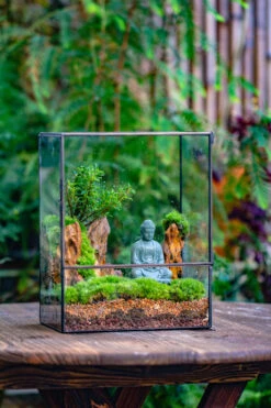 Close Geometric Glass Tin Terrarium Building DIY Set , 8x10" And Buddha, Rock, Micro Landscape Moss Terrarium Building DIY Set No Plants, Customizable -Terrarium Plant Hub IMG 6797