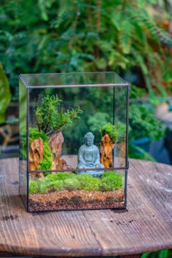 Close Geometric Glass Tin Terrarium Building DIY Set , 8x10" And Buddha, Rock, Micro Landscape Moss Terrarium Building DIY Set No Plants, Customizable -Terrarium Plant Hub IMG 6800
