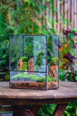 Close Geometric Glass Tin Terrarium Building DIY Set , 8x10" And Buddha, Rock, Micro Landscape Moss Terrarium Building DIY Set No Plants, Customizable -Terrarium Plant Hub IMG 6803