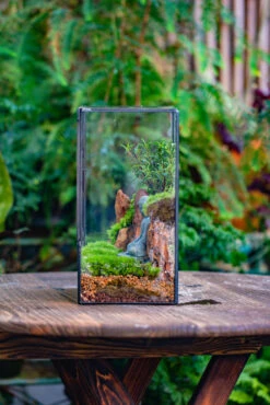 Close Geometric Glass Tin Terrarium Building DIY Set , 8x10" And Buddha, Rock, Micro Landscape Moss Terrarium Building DIY Set No Plants, Customizable -Terrarium Plant Hub IMG 6805