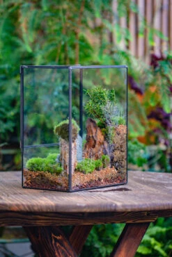 Close Geometric Glass Tin Terrarium Building DIY Set , 8x10" And Buddha, Rock, Micro Landscape Moss Terrarium Building DIY Set No Plants, Customizable -Terrarium Plant Hub IMG 6806