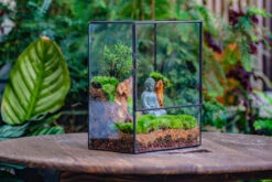 Close Geometric Glass Tin Terrarium Building DIY Set , 8x10" And Buddha, Rock, Micro Landscape Moss Terrarium Building DIY Set No Plants, Customizable -Terrarium Plant Hub IMG 6809